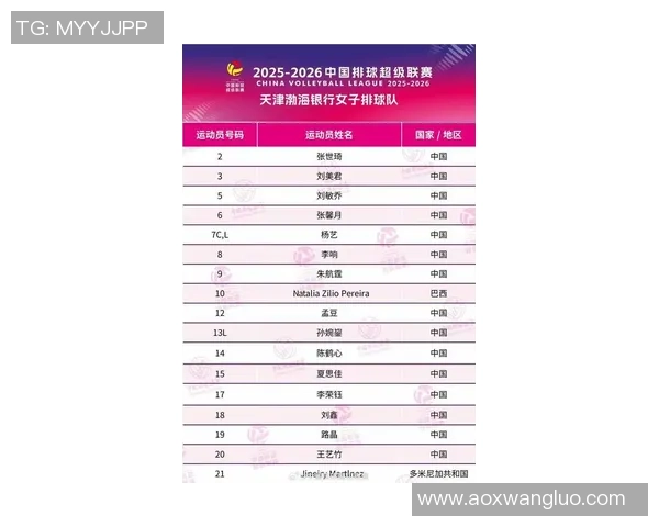 南京排球队球员表现卓越最新排球个人能力排行榜前十揭晓