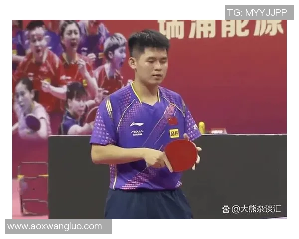 武汉乒乓球队的崛起与发展探秘:力量与潜力的深度分析